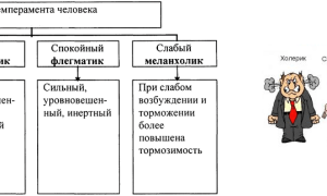 Типы темперамента человека