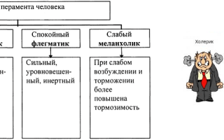 Типы темперамента человека