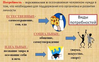 Что движет человеком в его развитии