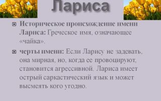 Что означает имя лариса – характеристика имени лариса, толкование имени лариса