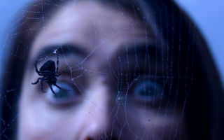Арахнофобия: боязнь пауков / страх перед пауками