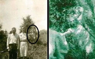 Виды приведений