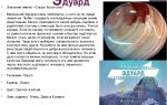 Что означает имя эдуард – характеристика имени эдуард, толкование имени эдуард