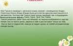 Что означает имя таисия – характеристика имени таисия, толкование имени таисия