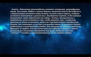Что означает имя агния — характеристика имени агния, толкование имени агния