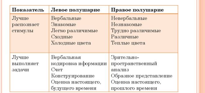 Специализация полушарий головного мозга