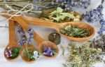 Народная медицина —  рецепты и травы для здоровья
