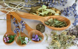 Народная медицина —  рецепты и травы для здоровья