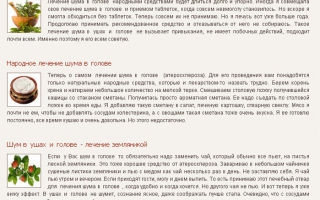 Шум в голове как лечить народными средствами / народная медицина