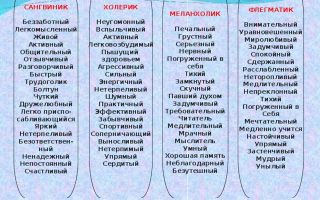 Может ли меланхолик жить с холериком?